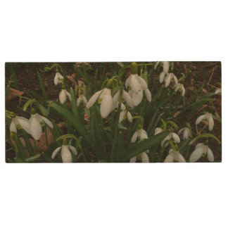 Snowdrops I (Galanthus) White Spring Flowers Wood Flash Drive