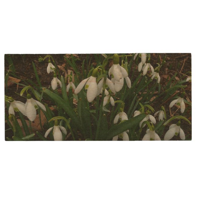 Snowdrops I (Galanthus) White Spring Flowers Wood Flash Drive (Front)