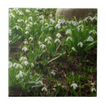 Snowdrops II (Galanthus) Spring Floral Ceramic Tile