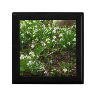 Snowdrops II (Galanthus) Spring Floral Jewelry Box