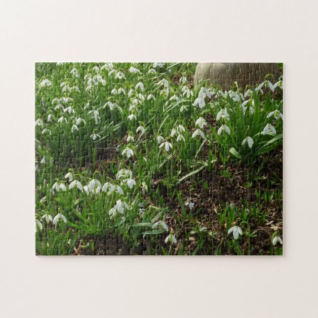 Snowdrops II (Galanthus) Spring Floral Jigsaw Puzzle (Horizontal)