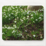Snowdrops II (Galanthus) Spring Floral Mouse Pad