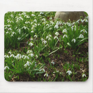 Snowdrops II (Galanthus) Spring Floral Mouse Pad