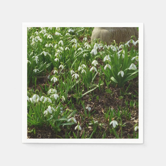 Snowdrops II (Galanthus) Spring Floral Paper Napkins (Front)