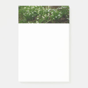 Snowdrops II (Galanthus) Spring Floral Post-it Notes