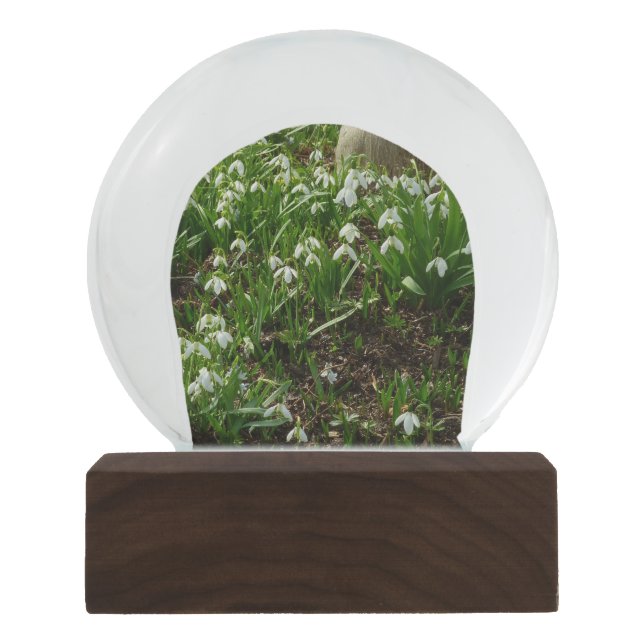 Snowdrops II (Galanthus) Spring Floral Snow Globe (Front)