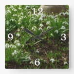 Snowdrops II (Galanthus) Spring Floral Square Wall Clock