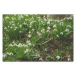 Snowdrops II (Galanthus) Spring Floral Tissue Paper