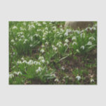 Snowdrops II (Galanthus) Spring Floral Tissue Paper