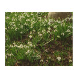 Snowdrops II (Galanthus) Spring Floral Wood Wall Decor