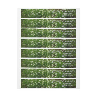 Snowdrops II (Galanthus) Spring Floral Wrap Around Label