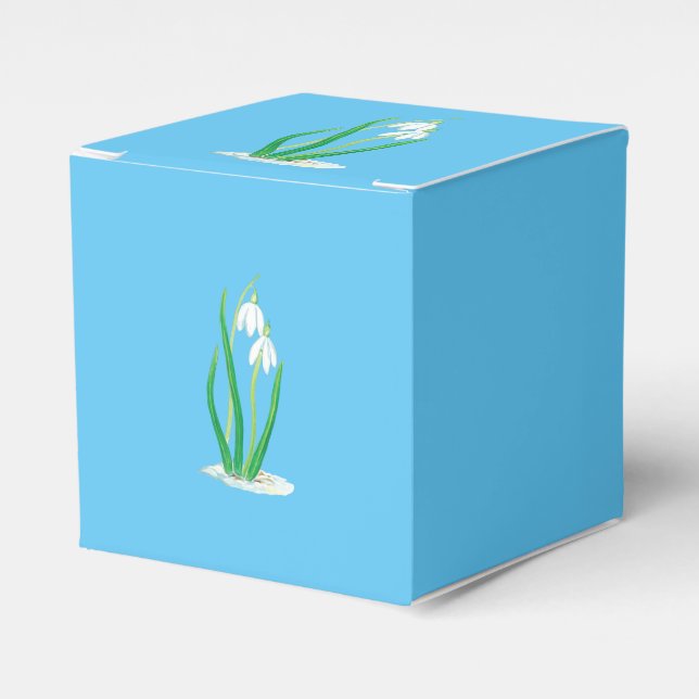 Snowdrops in Snow Favor Boxes (Front Side)