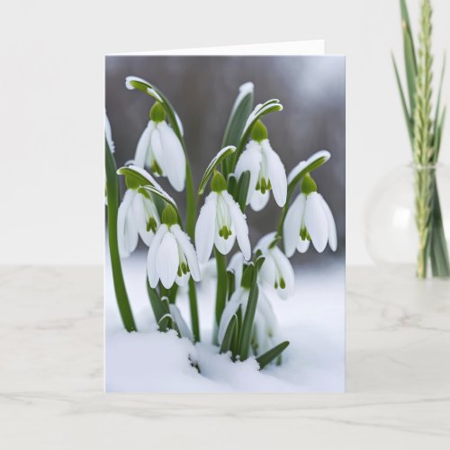 Snowdrops In Snow for Birthday Card