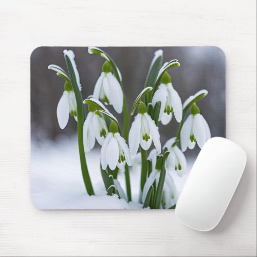 Snowdrops In Snow Mouse Pad
