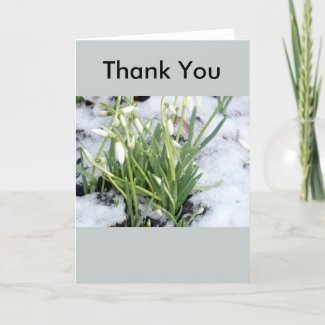 Snowdrops In Snow Thank You Card