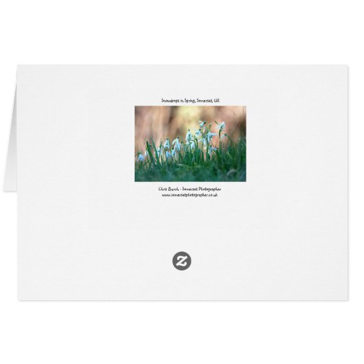 Snowdrops in Spring (Back Horizontal)