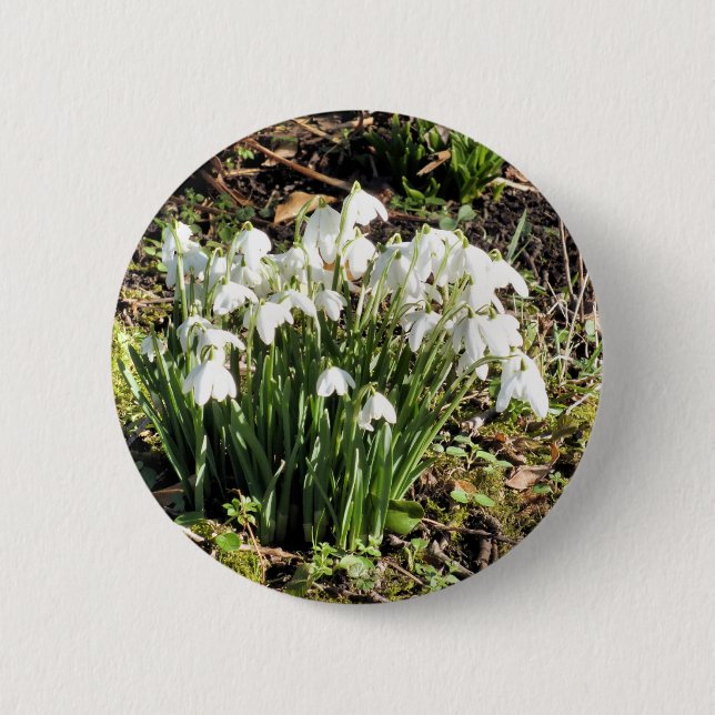 SNOWDROPS PINBACK BUTTON (Front)