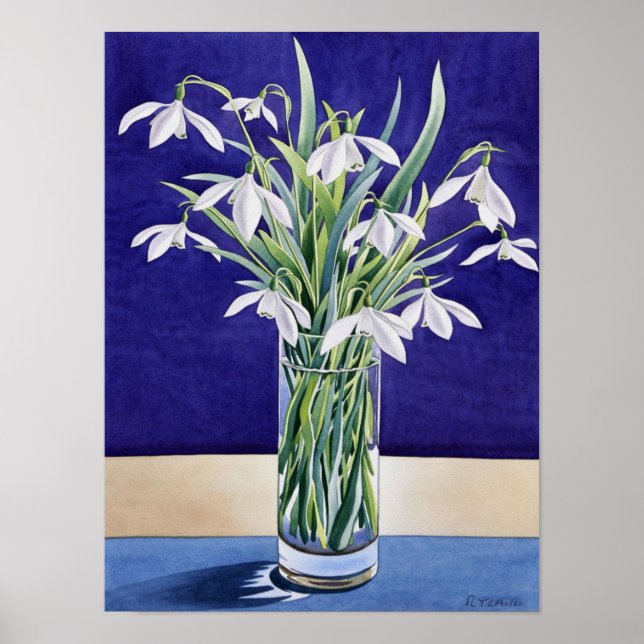 Snowdrops Poster (Front)
