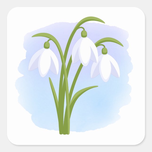 Snowdrops - Spring Flowers on Watercolor Blue Square Sticker (Front)