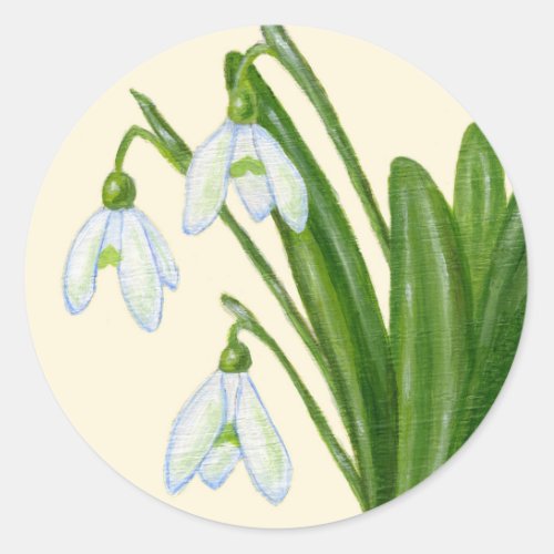 Snowdrops sticker