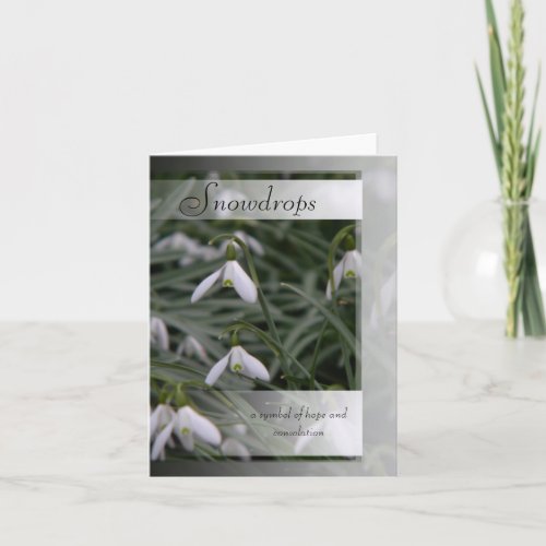 Snowdrops symbolism and info card