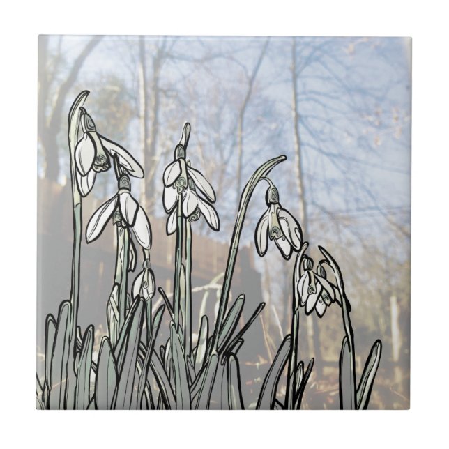 Snowdrops Tile (Front)