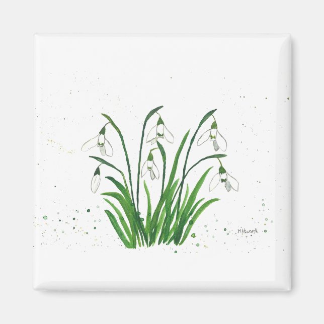 Snowdrops white flowers watercolour magnet (Front)