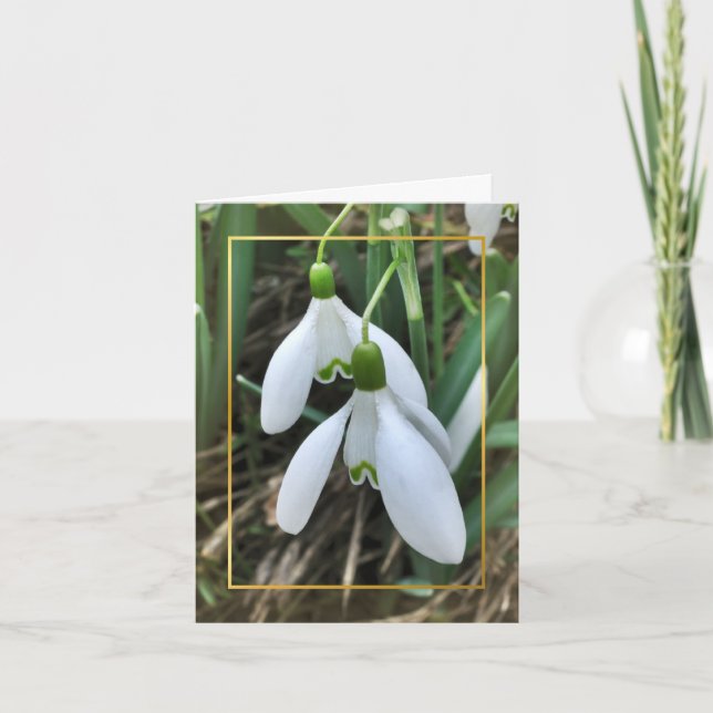 Snowdrops with gold border holiday card (Front)