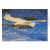 Snowey white egret water diamonds shadow (Front Horizontal)