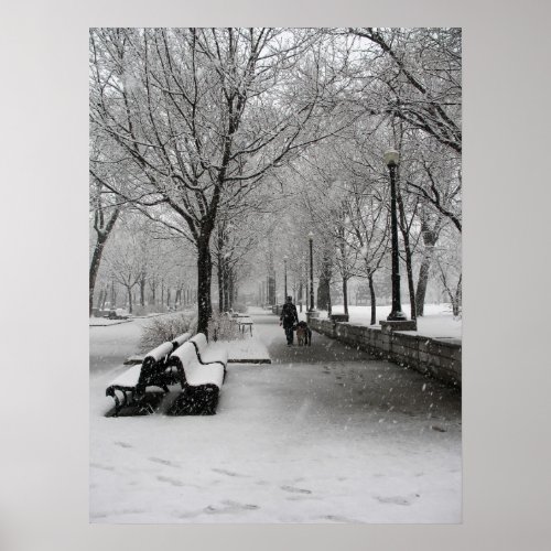 Snowfall in Montreal Quebec Poster