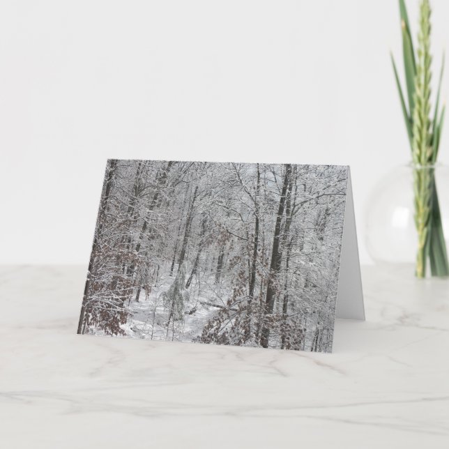 Snowfall in SC mtns Holiday Card (Front)