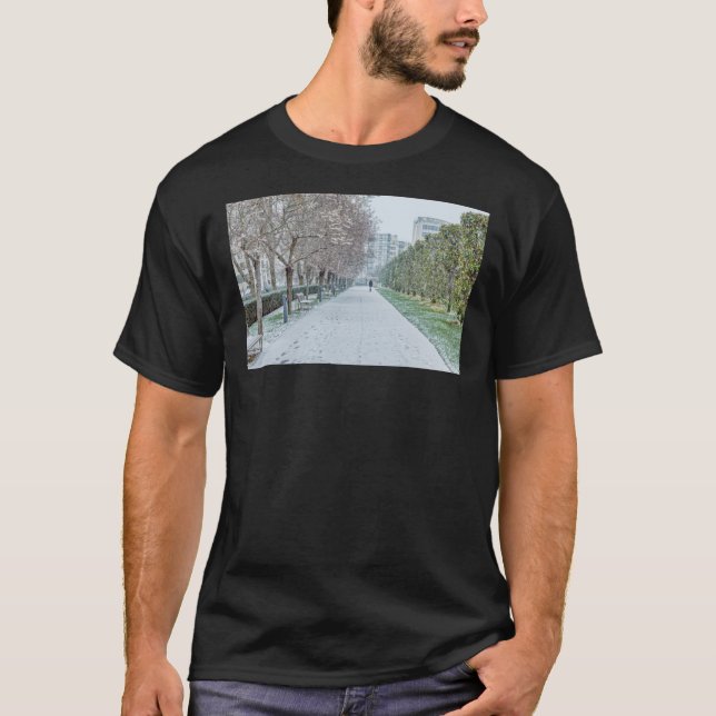 Snowfall on Parc Andre Citroen in Paris Classic T- T-Shirt (Front)