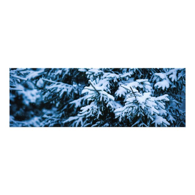 Snowfall Winter Christmas Tree Photo Print (Front)