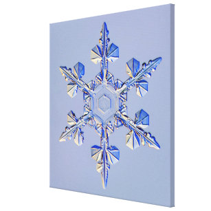 Snowflake 2 canvas print