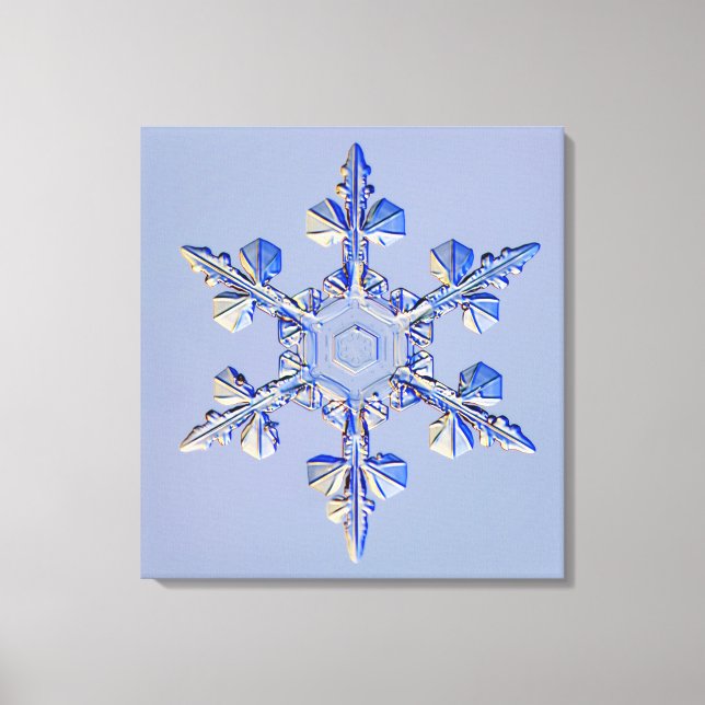 Snowflake 2 canvas print (Front)