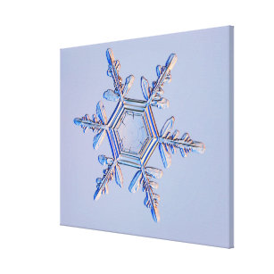 Snowflake 4 canvas print