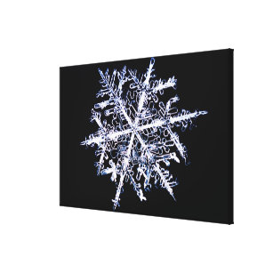 Snowflake 5 canvas print