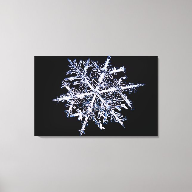 Snowflake 5 canvas print (Front)