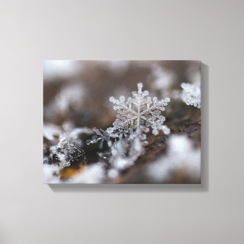 Snowflake canvas