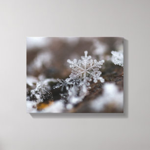 Snowflake canvas print