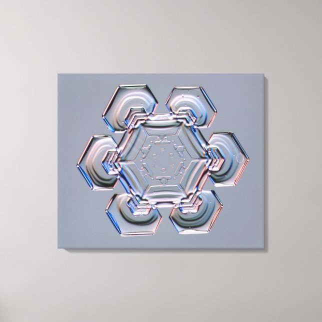 Snowflake Canvas Print (Front)