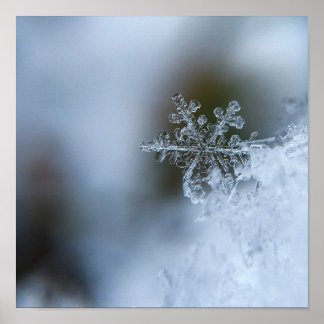Snowflake Closeup Poster