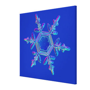Snowflake Crystal 4 Canvas Print