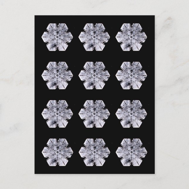 Snowflake Crystal Photos Postcard (Front)