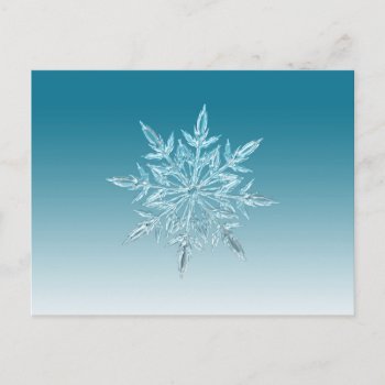 Snowflake Crystal Postcard by Theraven14 at Zazzle