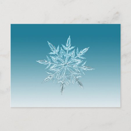 Snowflake Crystal Postcard