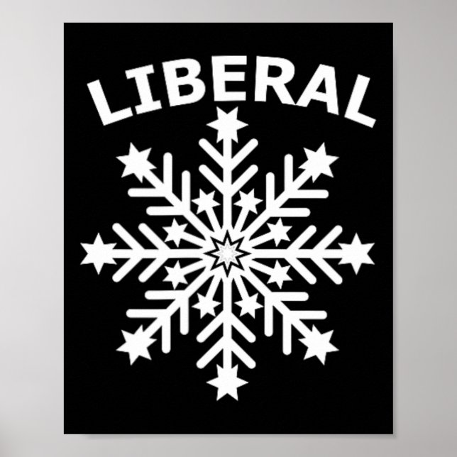 Snowflake Feminist Diversity Human Rights Equality Poster (Front)