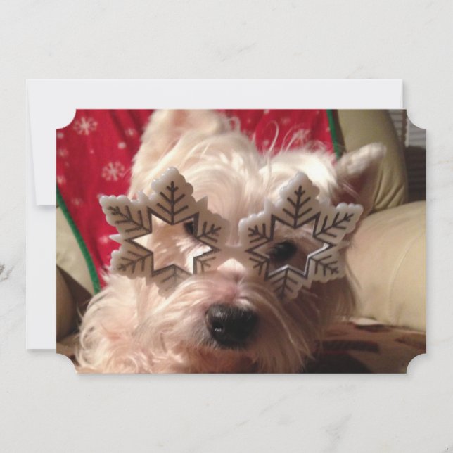 Snowflake glasses for this westie's winter holiday card (Front)