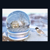 Snowflake Globe Photo Print