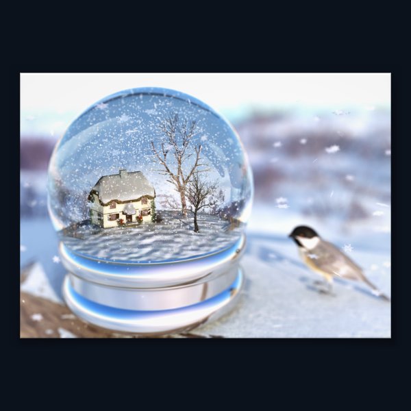 Snowflake Globe Photo Print